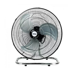 Fans