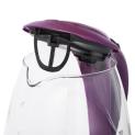 Electric kettle RKT81-G