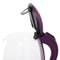 Electric kettle RKT81-G