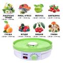 Electric food dryer RD310-W